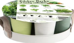 Discount Anzucht-Set Küchenkräuter inkl. Tablett und Töpfchen Gemüsesamen|Saatgut