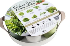 Discount Anzucht-Set Küchenkräuter inkl. Tablett und Töpfchen Gemüsesamen|Saatgut