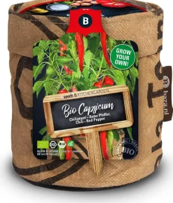 Online Baza Anzuchtset Chili (Solanum annuum) Gemüsesamen|Saatgut