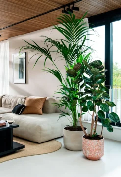 Sale Bela Arte Blumentopf Belem braun D 17 H 16 cm Blumentöpfe & Pflanzgefäße|Blumentöpfe