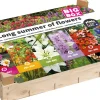 New Big Box Long summer of flowers Blumenzwiebeln 120 St. Sommer-Blüher|Blumenzwiebeln