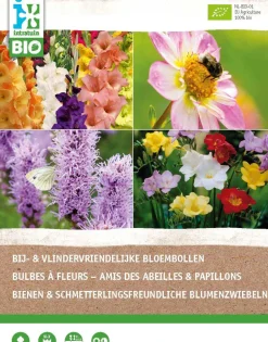 New Bio-Blumenzwiebeln für Bienen und Schmetterlinge 25 St. Sommer-Blüher|Blumenzwiebeln