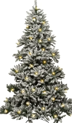 Best Black Box Künstlicher Weihnachtsbaum Fiss H 185 cm mit 340 LEDs warmweiß Künstliche Weihnachtsbäume