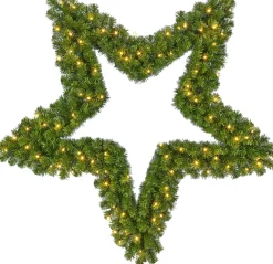 Sale Black Box Weihnachtsstern beleuchtet D 91 cm grün mit 72 LEDs warmweiß Weihnachtssterne