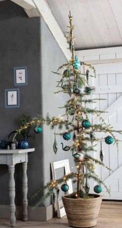 Blaue Zeder (Cedrus libani 'Glauca') D 23 H 100 cm Immergrüne Pflanzen|Winterharte Pflanzen