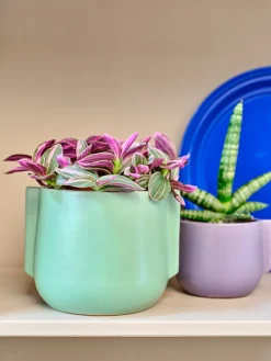 Clearance Blumentopf Modern grün D 10,3 H 13 cm Blumentöpfe & Pflanzgefäße|Blumentöpfe