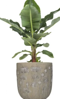 Clearance Blumentopf Mohnblumen crème D 25 H 25 cm Blumentöpfe & Pflanzgefäße|Blumentöpfe