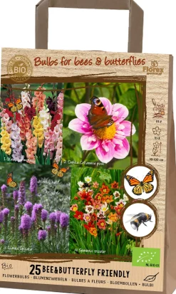 New Blumenzwiebeln für Bienen & Schmetterlinge 25 St. (BIO) Frühlings-Blüher|Blumenzwiebeln