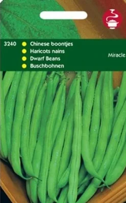 Best Buschbohnen (Phaseolus vulgaris 'Miracle') Samen Gemüsesamen|Saatgut