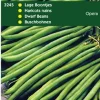 Buschbohnen (Phaseolus vulgaris 'Opera') Samen Gemüsesamen|Saatgut