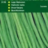 Outlet Buschbohnen (Phaseolus vulgaris 'Sonate') Samen Gemüsesamen|Saatgut
