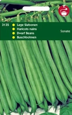 Outlet Buschbohnen (Phaseolus vulgaris 'Sonate') Samen Gemüsesamen|Saatgut