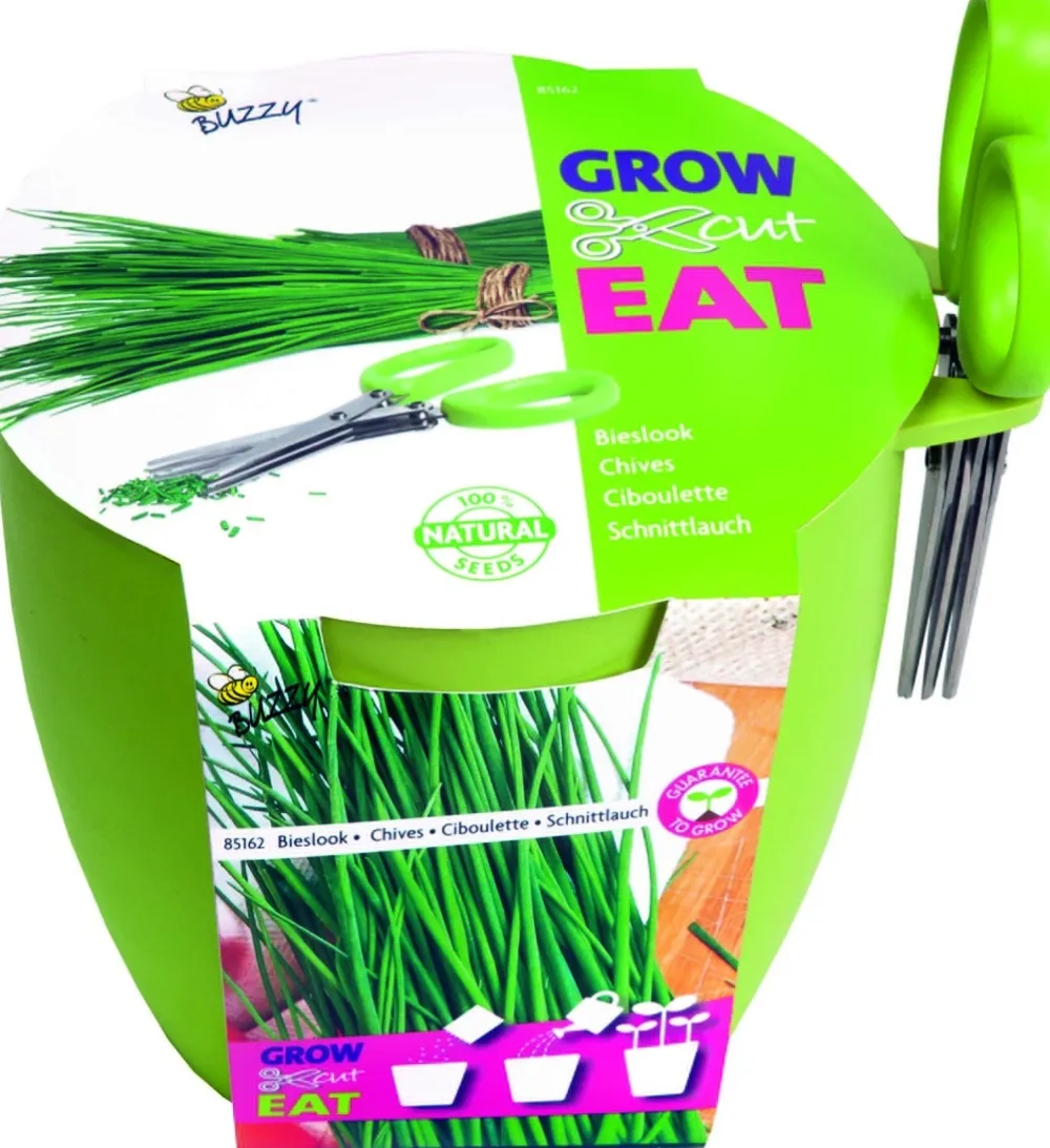 Sale Buzzy® Anzucht-Set Schnittlauch Kräutertopf mit Schere "Grow, Cut & Eat" Kräutersamen|Saatgut
