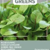 Buzzy® Microgreens Blut-Ampfer (Rumex sanguineus) Sprossen (BIO) Samen Gemüsesamen|Saatgut