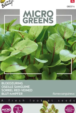 Buzzy® Microgreens Blut-Ampfer (Rumex sanguineus) Sprossen (BIO) Samen Gemüsesamen|Saatgut