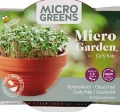 Discount Buzzy® Microgreens Grünkohl (Brassica oleracea var. Acephala Sabellica) Kresse-Anzuchtset Gemüsesamen|Saatgut