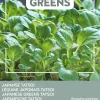 Hot Buzzy® Microgreens Japanische Tatsoi Sprossen (Brassica narinosa) Sprossen (BIO) Samen Gemüsesamen|Saatgut