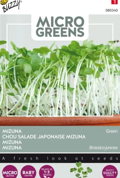 Clearance Buzzy® Microgreens Mizuna Sprossen (Brassica rapa) (BIO) Samen Gemüsesamen|Saatgut