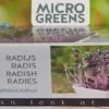 New Buzzy® Microgreens Radies (Raphanus sativus) Kresse-Anzuchtset Gemüsesamen|Saatgut