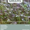 New Buzzy® Microgreens Senf Sprossen (Sinapis alba 'Red Frills') Sprossen (BIO) Samen Gemüsesamen|Saatgut