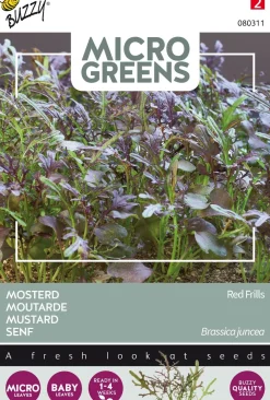New Buzzy® Microgreens Senf Sprossen (Sinapis alba 'Red Frills') Sprossen (BIO) Samen Gemüsesamen|Saatgut