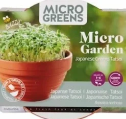 Discount Buzzy® Microgreens Tatsoi (Brassica narinosa) Kresse-Anzuchtset Gemüsesamen|Saatgut