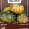 Clearance Buzzy® Ornamental Kürbis (Cucurbita moschata 'Musquée De Provence') Samen Gemüsesamen|Saatgut
