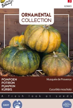 Clearance Buzzy® Ornamental Kürbis (Cucurbita moschata 'Musquée De Provence') Samen Gemüsesamen|Saatgut