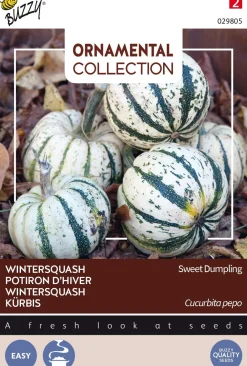 Best Buzzy® Ornamental Kürbis (Cucurbita pepo 'Sweet Dumpling') Samen Gemüsesamen|Saatgut