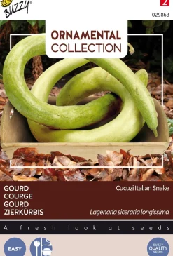 Outlet Buzzy® Ornamental Zierkürbis (Lagenaria siceraria longissima 'Cucuzi Italian Snake') Samen Gemüsesamen|Saatgut