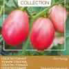 Best Buzzy® Pomodori Cocktailtomate (Solanum lycopersicum 'Pink Thai Egg') Samen Gemüsesamen|Saatgut