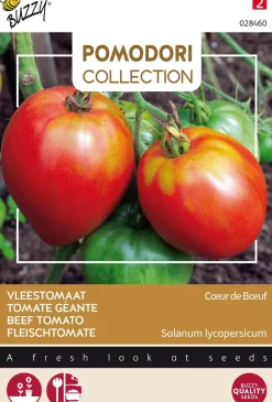 New Buzzy® Pomodori Fleischtomate (Solanum lycopersicum 'Cœur de Bœuf') Samen Gemüsesamen|Saatgut