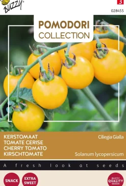 Discount Buzzy® Pomodori Kirschtomate gelb (Solanum lycopersicum 'Ciliegia Gialla') Samen Gemüsesamen|Saatgut