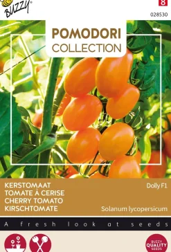 Discount Buzzy® Pomodori Kirschtomate (Solanum lycopersicum 'Dolly F1') Samen Gemüsesamen|Saatgut
