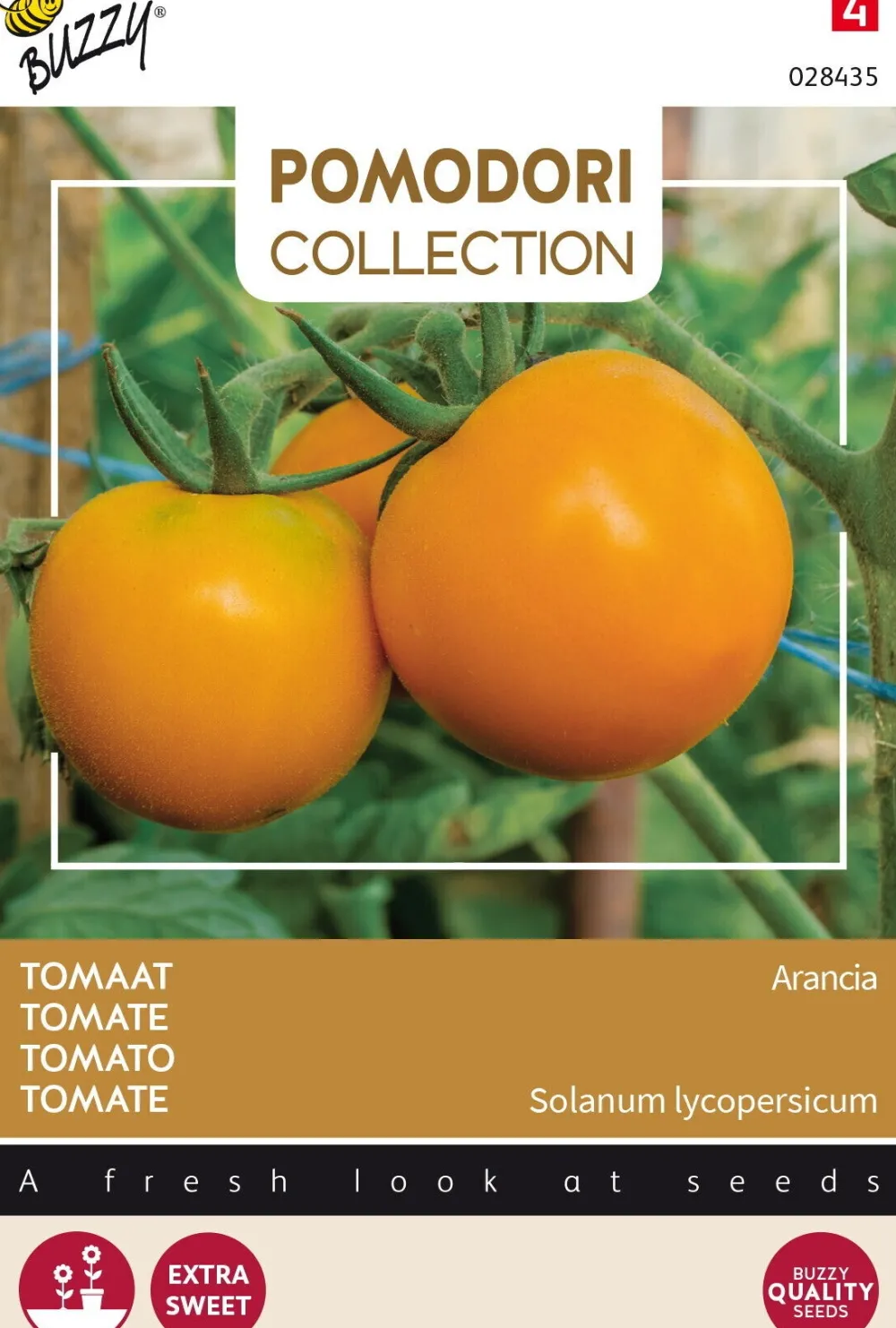 Buzzy® Pomodori Tomate (Solanum lycopersicum 'Arancia') Samen Gemüsesamen|Saatgut