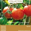 Hot Buzzy® Pomodori Tomate (Solanum lycopersicum 'Tigerella') Samen Gemüsesamen|Saatgut