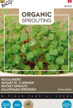 Sale Buzzy® Rucola Sprossen (Eruca vesicaria ssp. sativa) (BIO) Samen Gemüsesamen|Saatgut