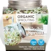 Discount Buzzy® Sprossen Salatmischung Organic Sprouting Anzuchtset Gemüsesamen|Saatgut