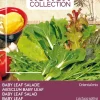 Buzzy® Xotica Baby Leaf Salat (Lactuca sativa) Samen-Mischung Gemüsesamen|Saatgut