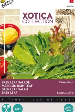Buzzy® Xotica Baby Leaf Salat (Lactuca sativa) Samen-Mischung Gemüsesamen|Saatgut