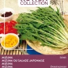 Buzzy® Xotica Mizuna Japanischer Salat (Brassica junicea) Samen Gemüsesamen|Saatgut