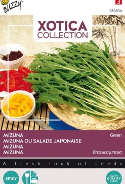 Buzzy® Xotica Mizuna Japanischer Salat (Brassica junicea) Samen Gemüsesamen|Saatgut