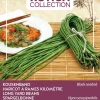 Discount Buzzy® Xotica Spargelbohnen (Vigna sesquipedalis) Samen Gemüsesamen|Saatgut