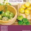 Buzzy® Xotica Tomatillo (Physalis ixocarpa) Samen Gemüsesamen|Saatgut