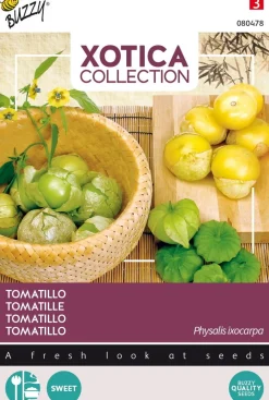 Buzzy® Xotica Tomatillo (Physalis ixocarpa) Samen Gemüsesamen|Saatgut