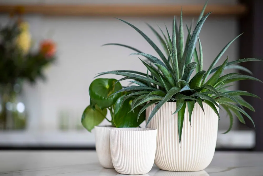 Online Capi Europe Blumentopf Groove beige D 13 H 12 cm Blumentöpfe & Pflanzgefäße|Blumentöpfe