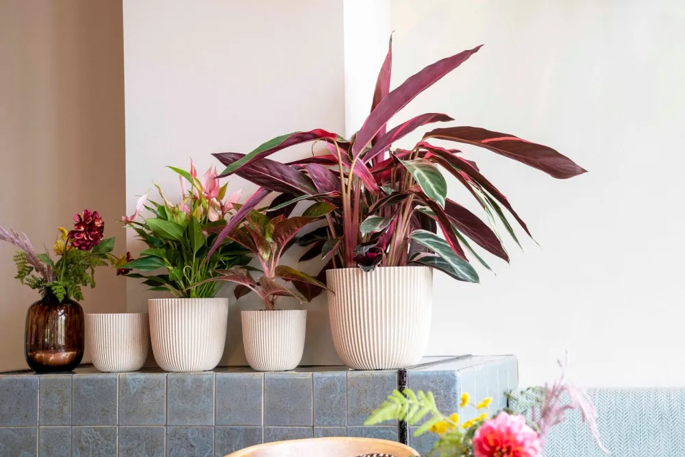 Online Capi Europe Blumentopf Groove beige D 13 H 12 cm Blumentöpfe & Pflanzgefäße|Blumentöpfe