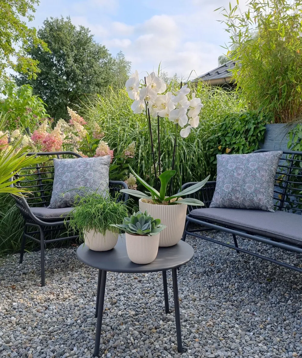 Online Capi Europe Blumentopf Groove beige D 13 H 12 cm Blumentöpfe & Pflanzgefäße|Blumentöpfe