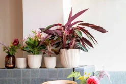 Clearance Capi Europe Blumentopf Groove beige D 21,5 H 20 cm Blumentöpfe & Pflanzgefäße|Blumentöpfe