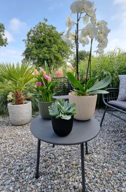 Clearance Capi Europe Blumentopf Groove beige D 21,5 H 20 cm Blumentöpfe & Pflanzgefäße|Blumentöpfe